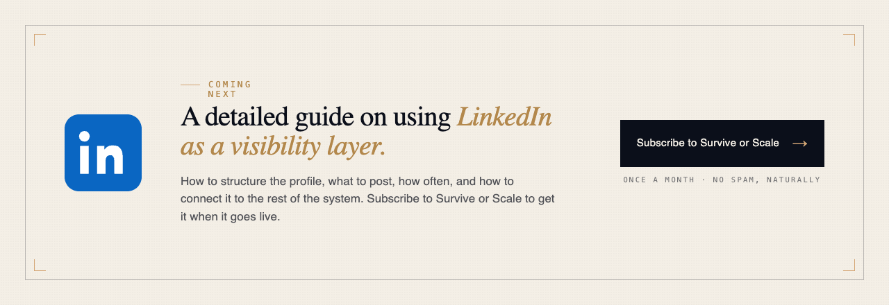 Coming next: a detailed guide on using LinkedIn as a visibility layer for B2B outbound. Subscribe to Survive or Scale to get it when it goes live.